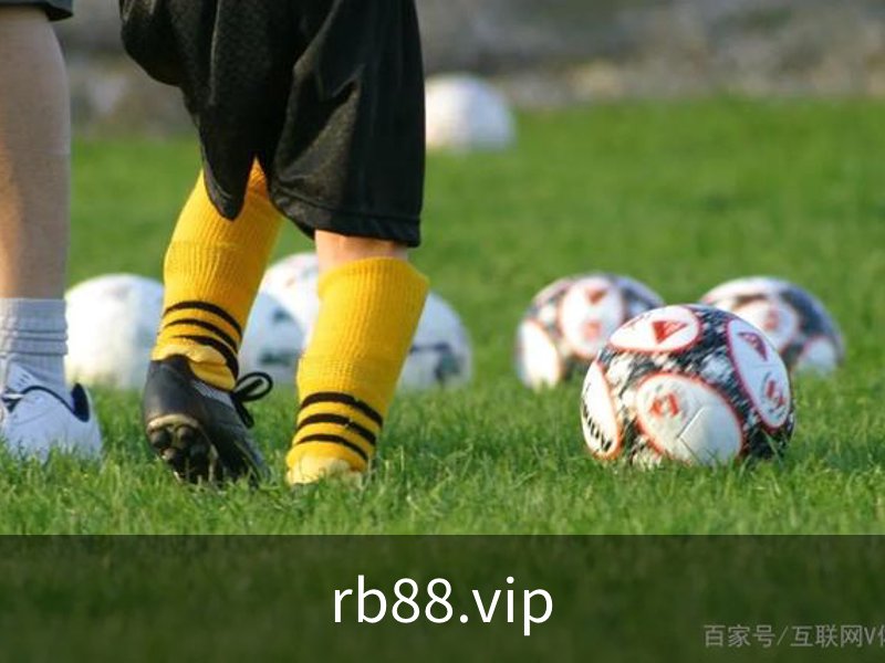 rb88.vip介绍